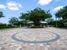 032_Laurel Oak Estates