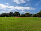 050_Summerfield-Community-Park