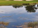 078_Laurel Oak Estates