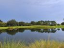 079_Laurel Oak Estates