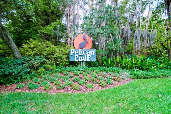 PelicanEntry
