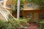PalmGardensCourtyardWM_4