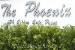 PhoenixSignWM_6