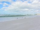 025_#1 Rated Siesta Key Beach