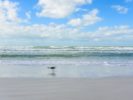 026_#1 Rated Siesta Key Beach