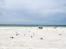 090_Siesta Beach
