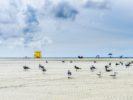 092_Siesta Beach