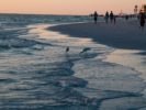 098_Siesta Key, FL