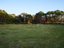 041_The Legacy Trail