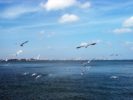 045_Direct Bay Front