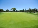 065_Longboat Key Club