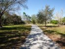 039_Tamaron Preserve