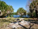 040_Tamaron Preserve