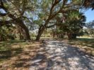 044_Tamaron Preserve