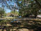 046_Tamaron Preserve