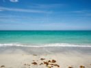 039_The Shore