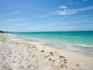 040_The Shore