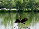 072_Twin Lakes Park