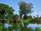 073_Twin Lakes Park