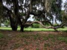 076_Twin Lakes Park