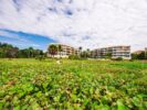 047_Villa Di Lancia