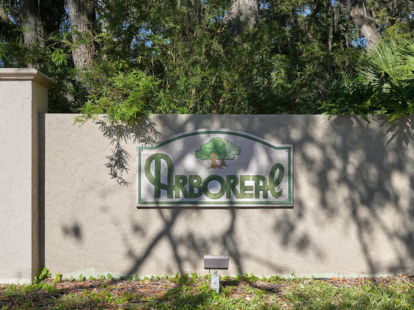 031_Arboreal