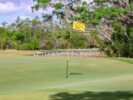 095_The Concession