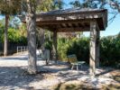 089_Wood Ibis Park