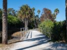 090_Wood Ibis Park