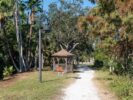 091_Wood Ibis Park